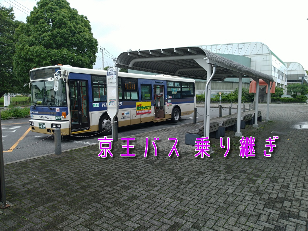 京王バス1日乗車券で乗り継ぎしてみた ゆうひの愉快なソロ充ライフ ゆゆそらブログ